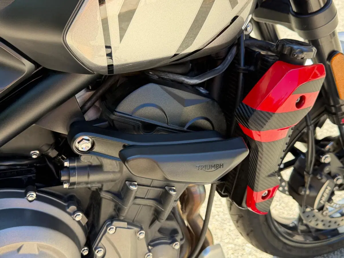 Triumph Trident 660 (2021 - 24) (15)