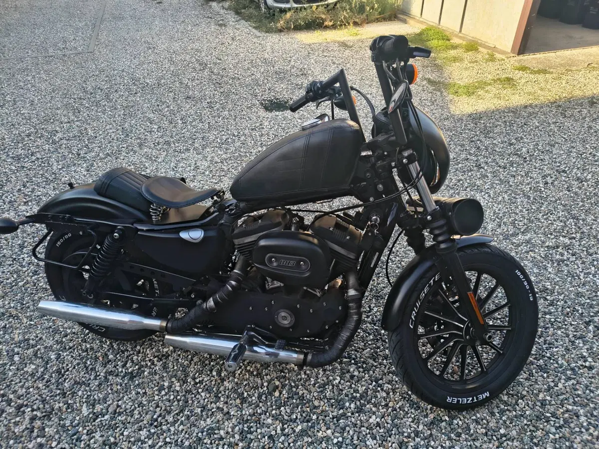 Harley-Davidson 883 Iron (2009 - 11) - XL 883N (2)