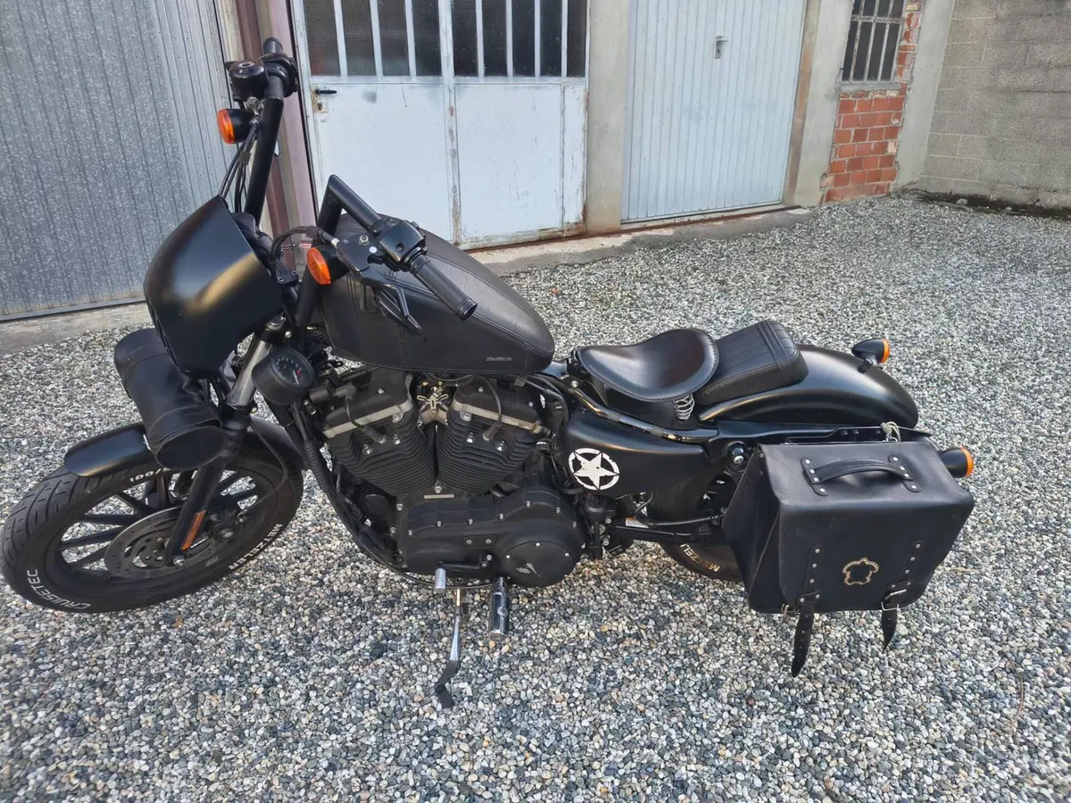 Harley-Davidson 883 Iron (2009 - 11) - XL 883N (4)