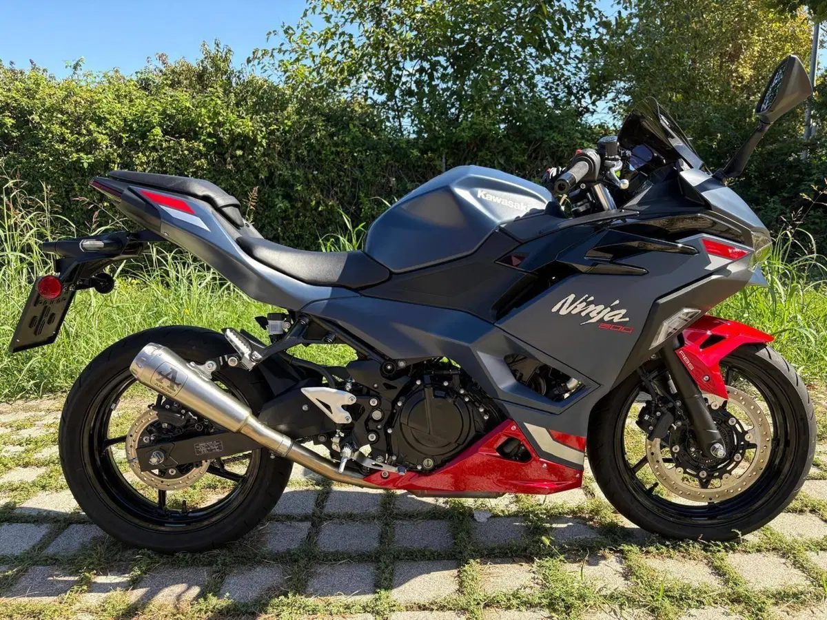 Kawasaki Ninja 500 SE (2024 - 27)