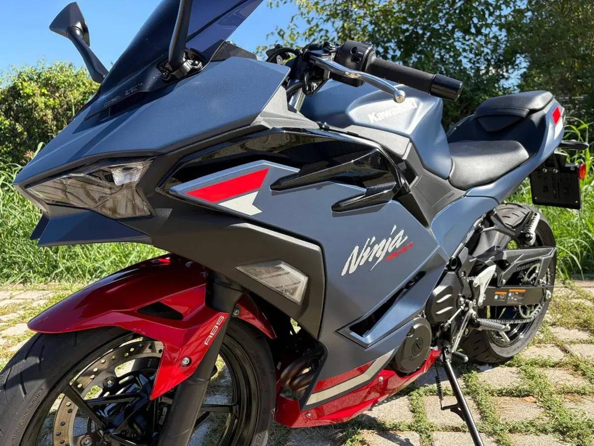 Kawasaki Ninja 500 SE (2024 - 27) (4)
