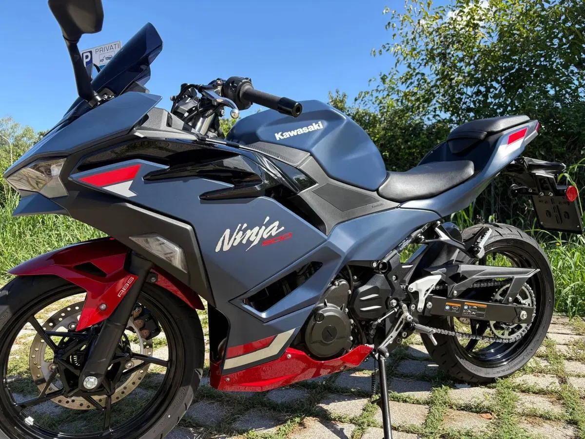 Kawasaki Ninja 500 SE (2024 - 27) (5)