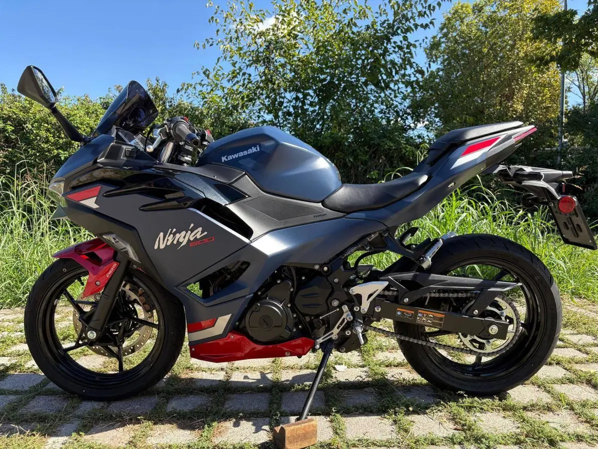 Kawasaki Ninja 500 SE (2024 - 27) (6)