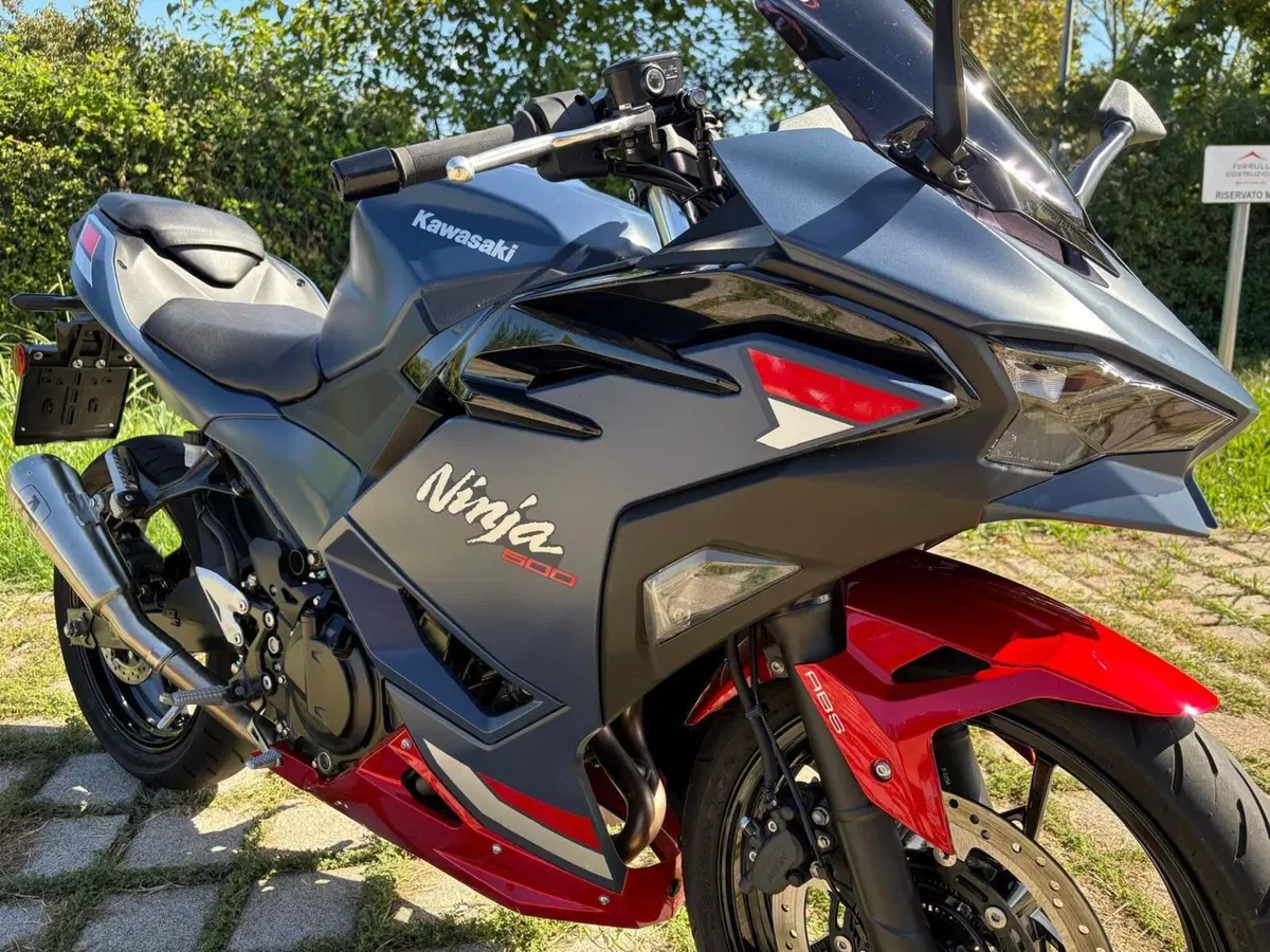 Kawasaki Ninja 500 SE (2024 - 27) (8)