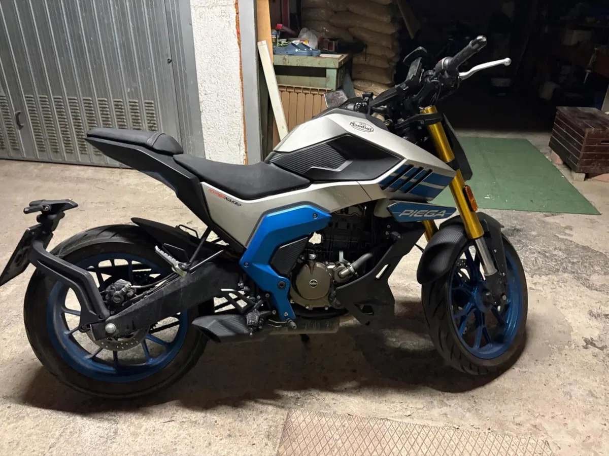 FB Mondial Piega 125 (2025 - 26)