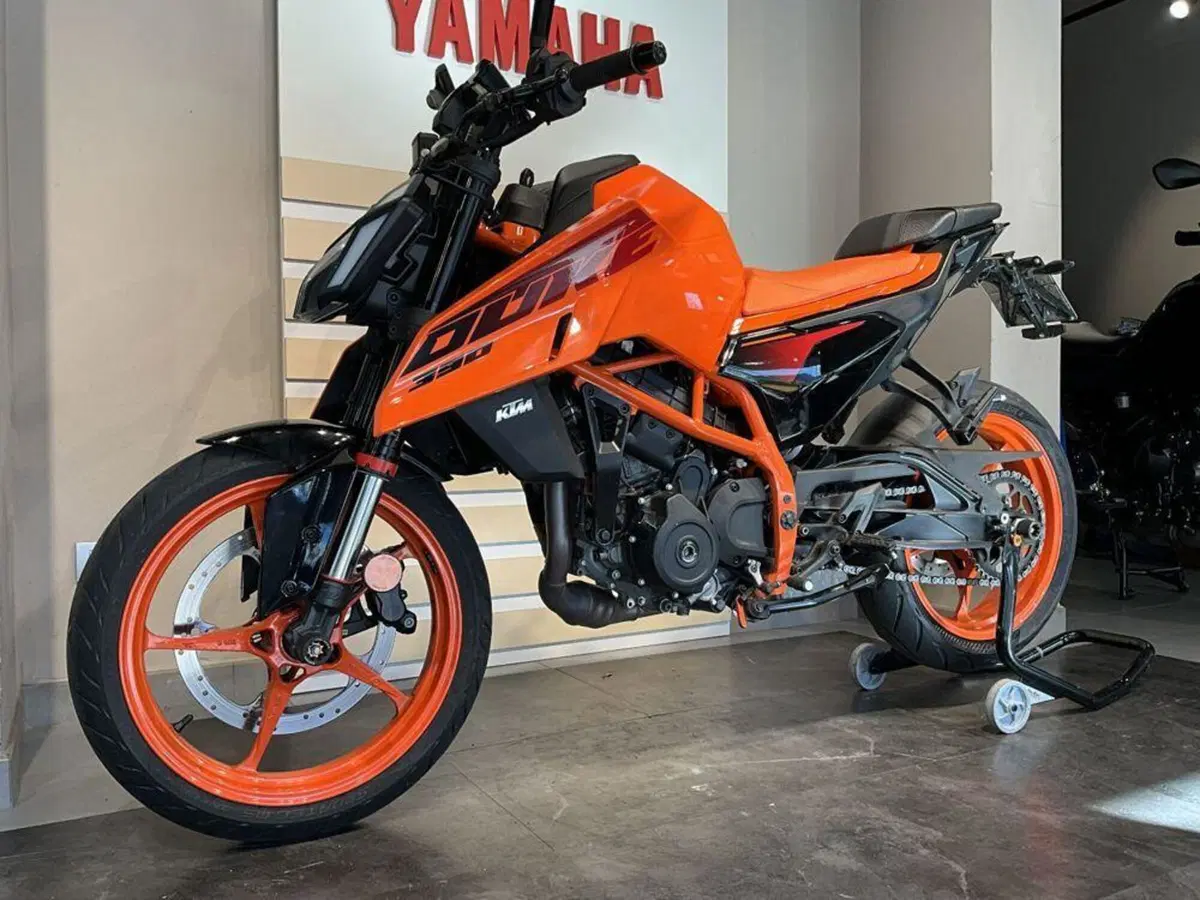KTM 390 Duke (2024 - 25) (4)