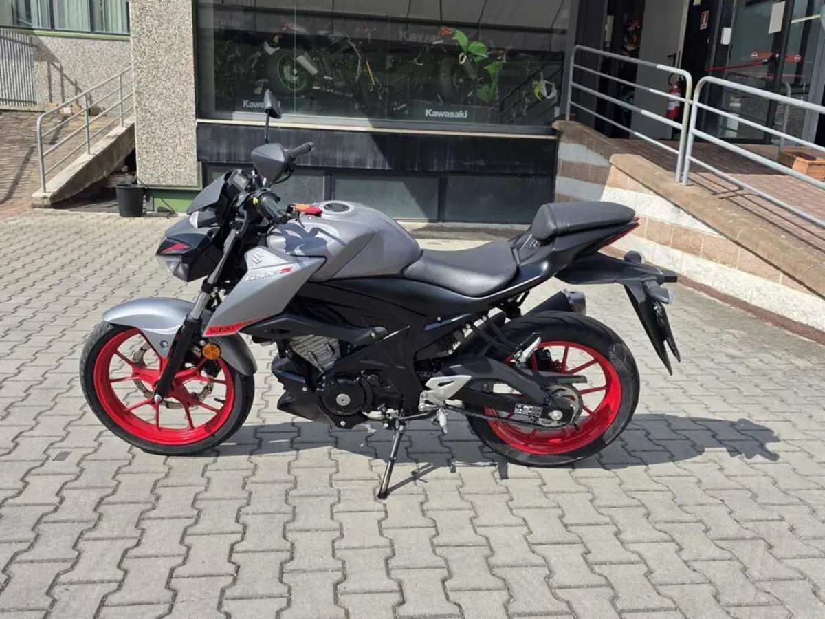 Suzuki GSX-S125 (2017 - 20) (3)