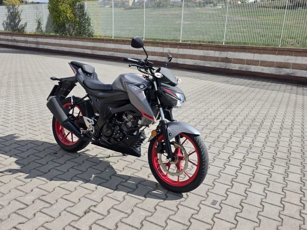 Suzuki GSX-S125 (2017 - 20) (2)