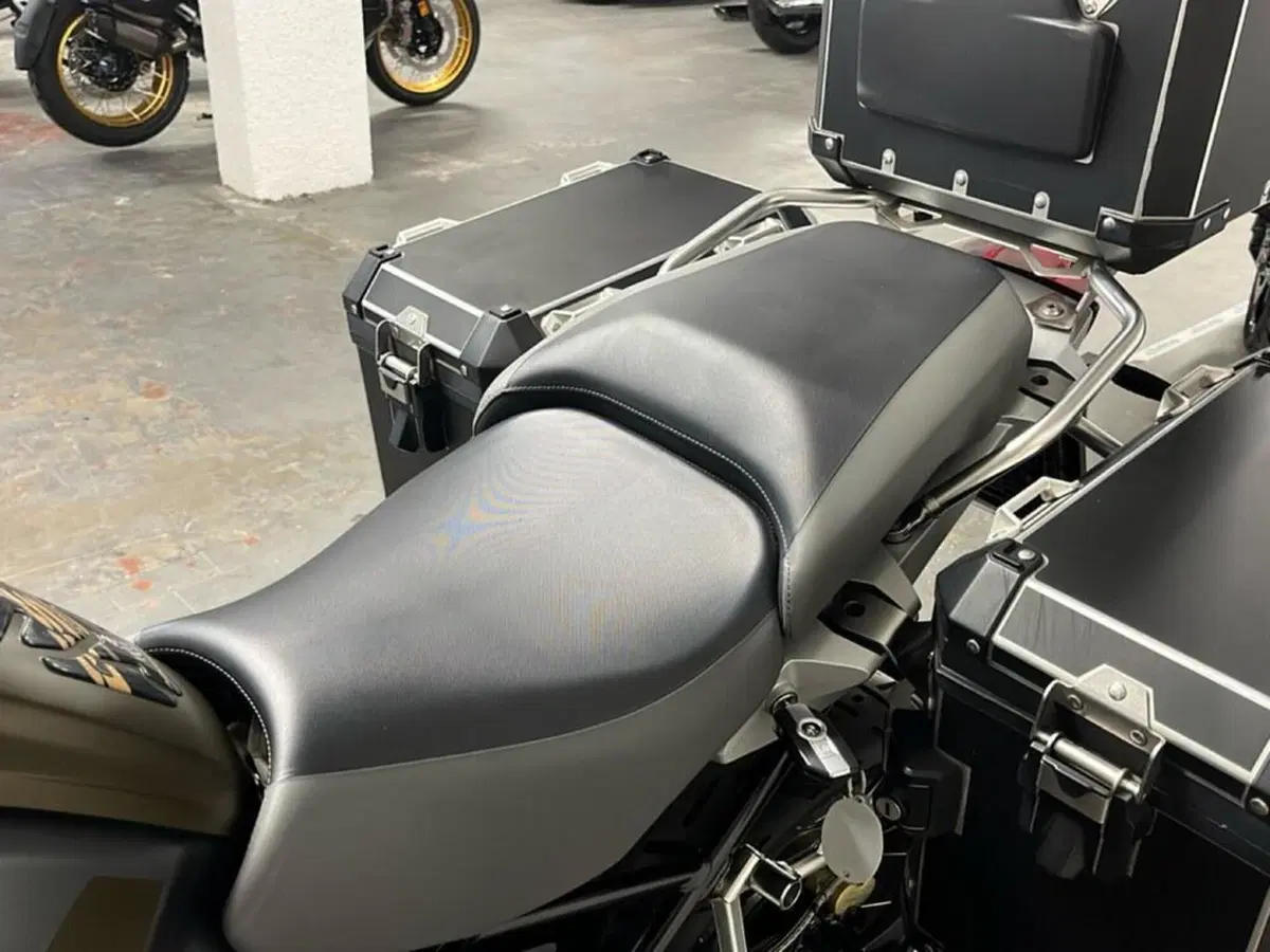 Bmw R 1250 GS Adventure (2019 - 20) (15)