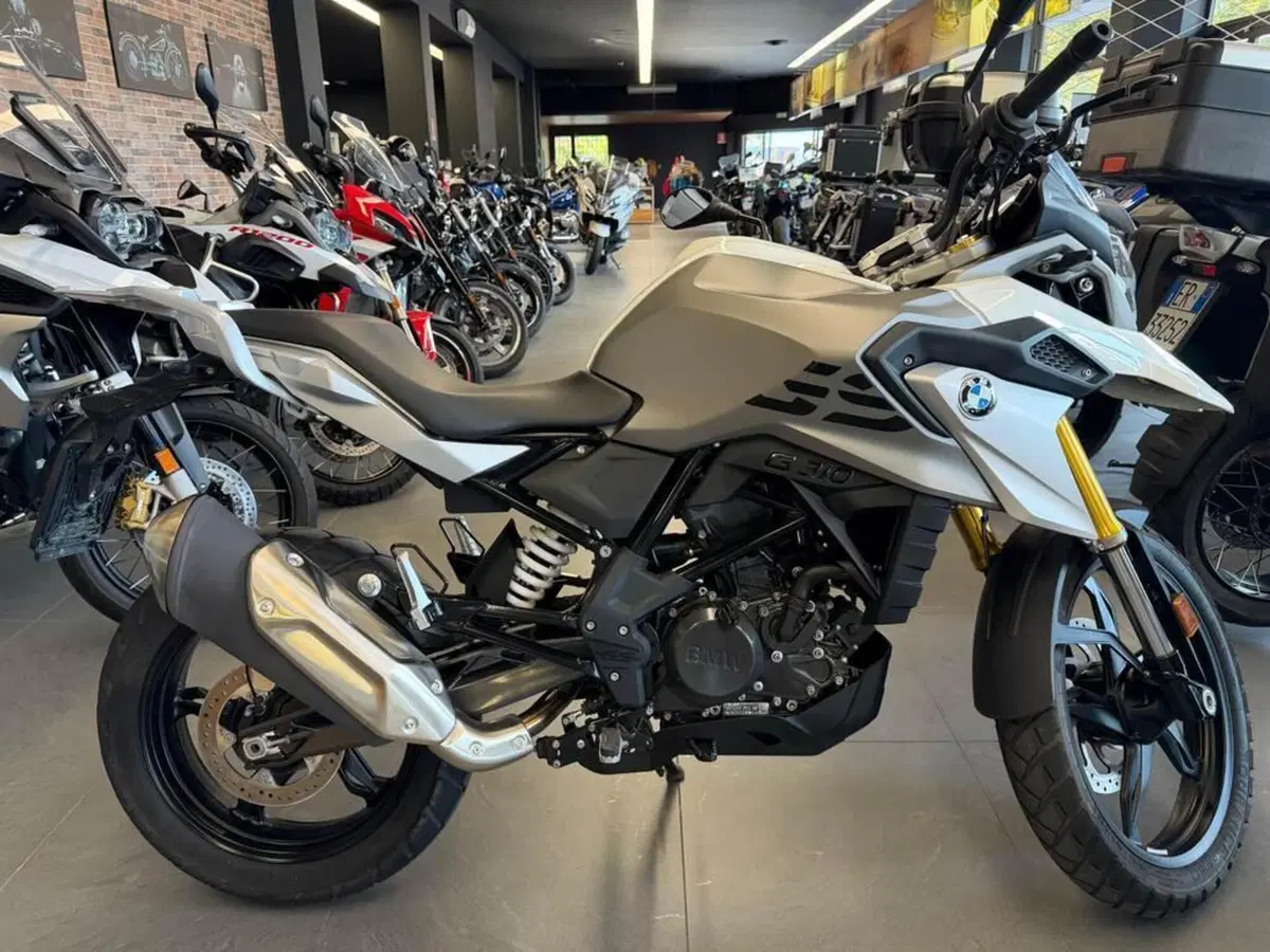Bmw G 310 GS (2021 - 25) (2)