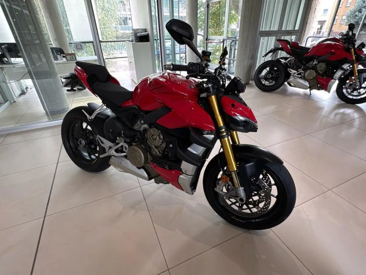Ducati Streetfighter V4 1100 S (2020) (5)