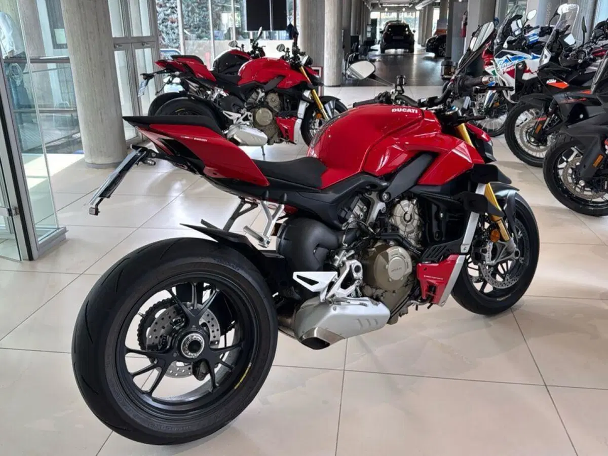 Ducati Streetfighter V4 1100 S (2020) (12)