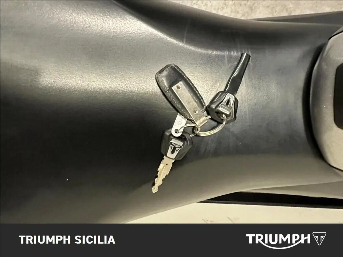 Triumph Trident 660 (2021 - 24) (12)