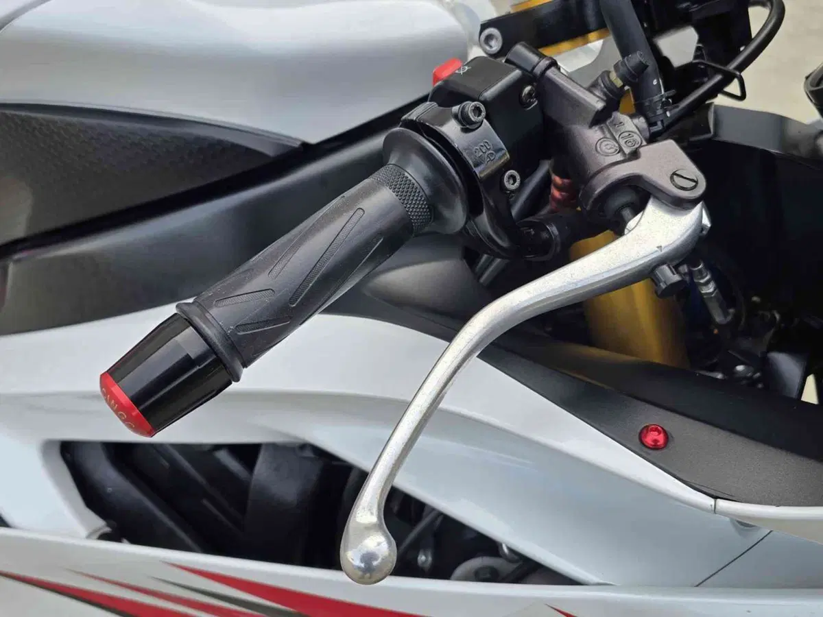 Yamaha YZF R6 (2006 - 07) (21)