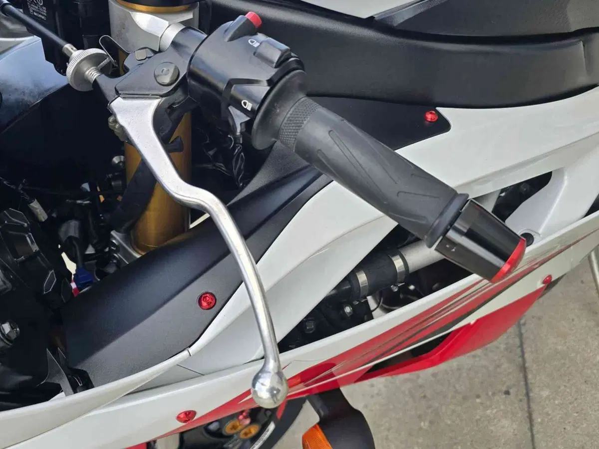 Yamaha YZF R6 (2006 - 07) (19)