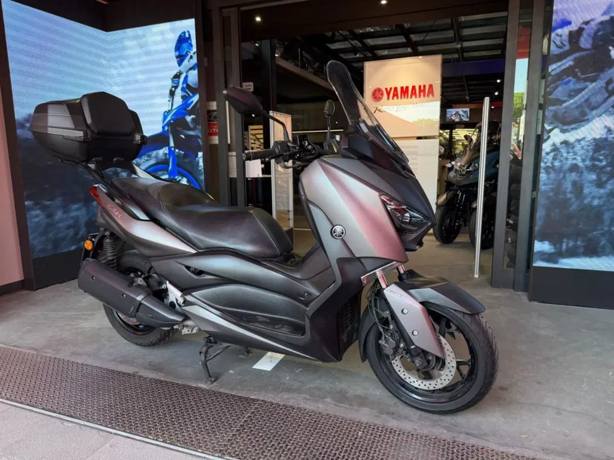 Yamaha X-Max 300 ABS (2017 - 20) (3)
