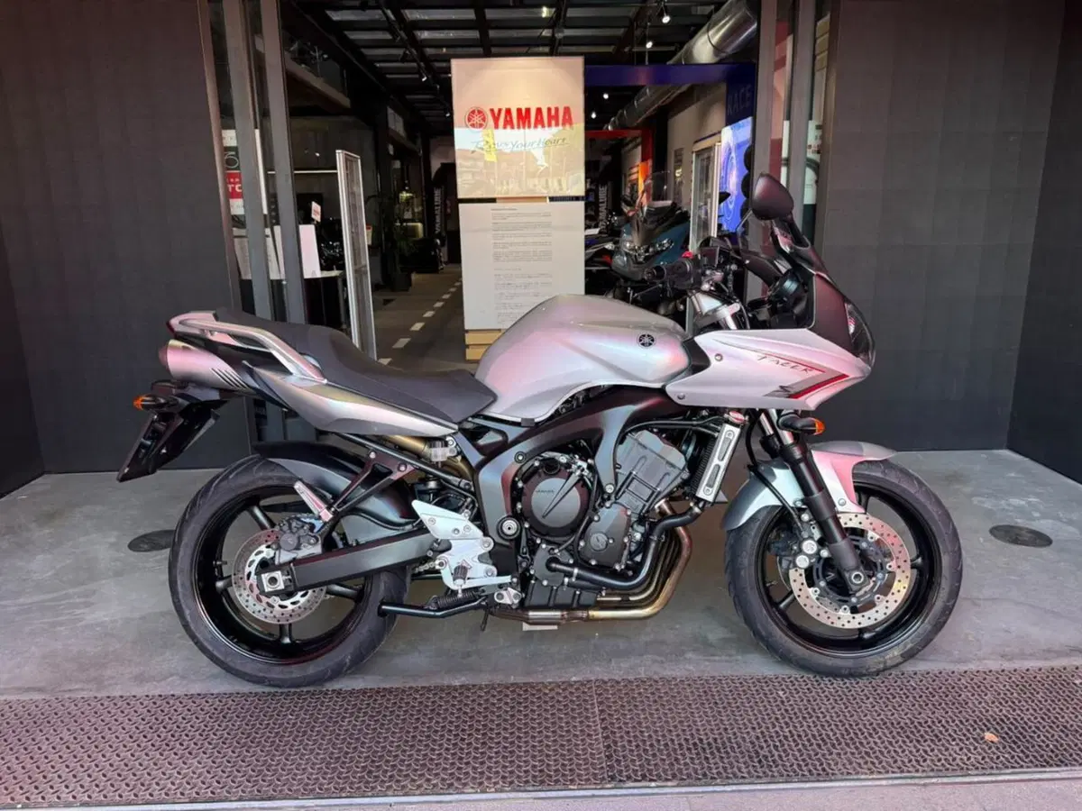 Yamaha FZ6 Fazer S2 (2006 - 11)