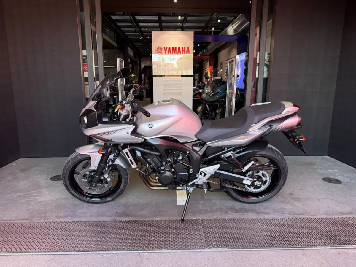 Yamaha FZ6 Fazer S2 (2006 - 11) (2)