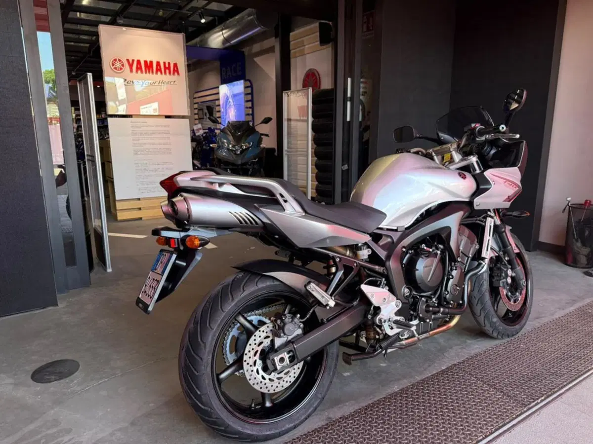 Yamaha FZ6 Fazer S2 (2006 - 11) (4)