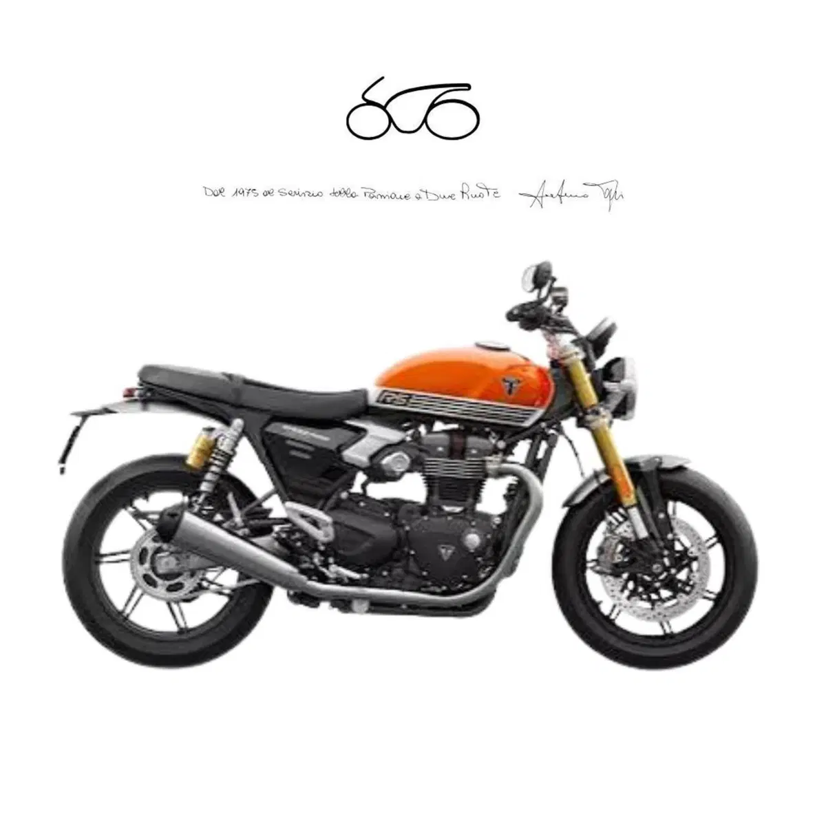 Triumph Speed Twin 1200 RS (2025 - 26)