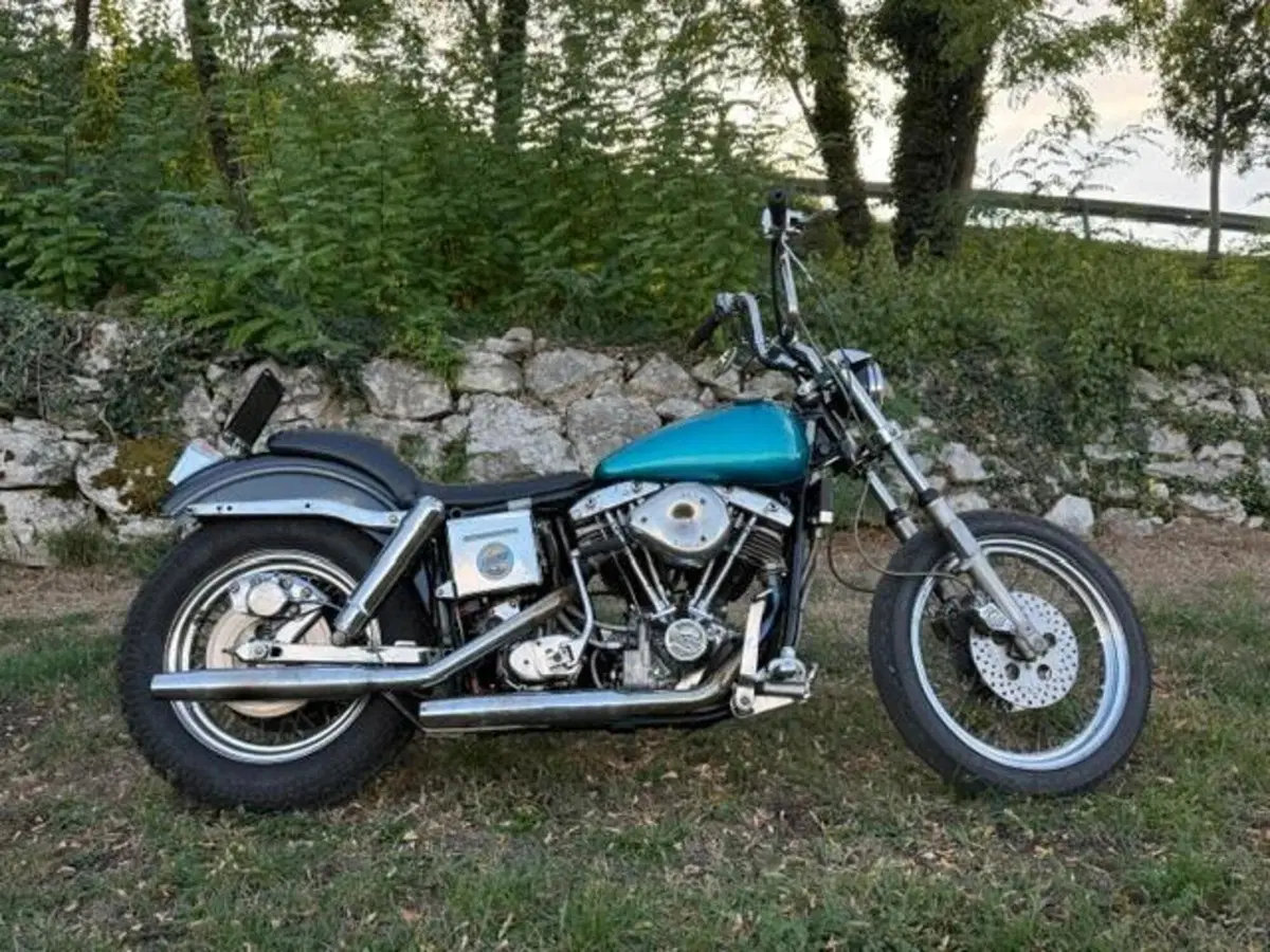Harley-Davidson FXE 1200 Shovelhead (6)