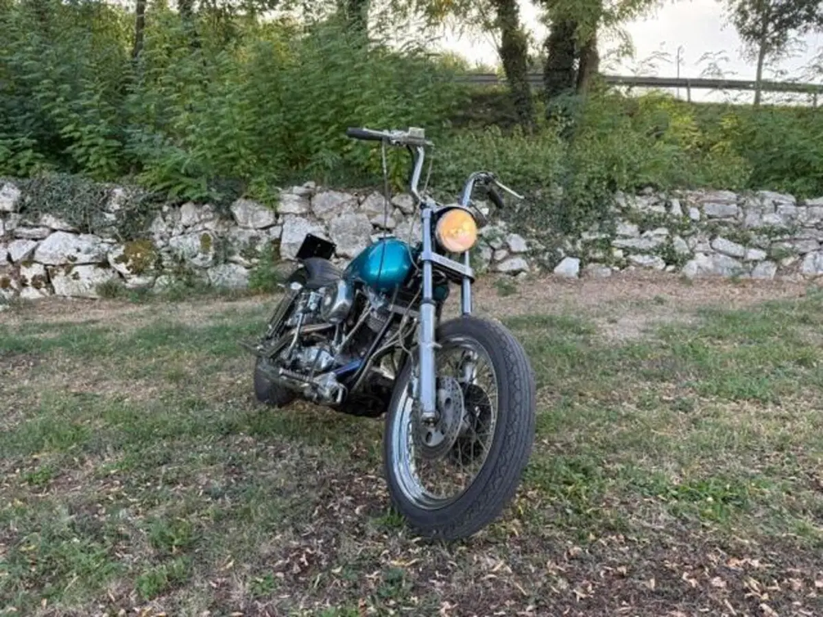 Harley-Davidson FXE 1200 Shovelhead (9)
