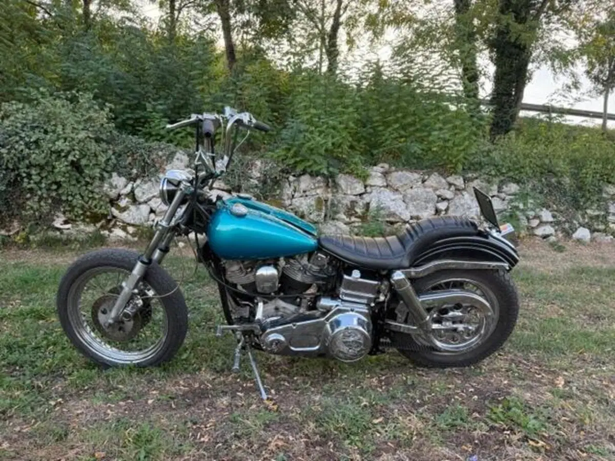 Harley-Davidson FXE 1200 Shovelhead (11)