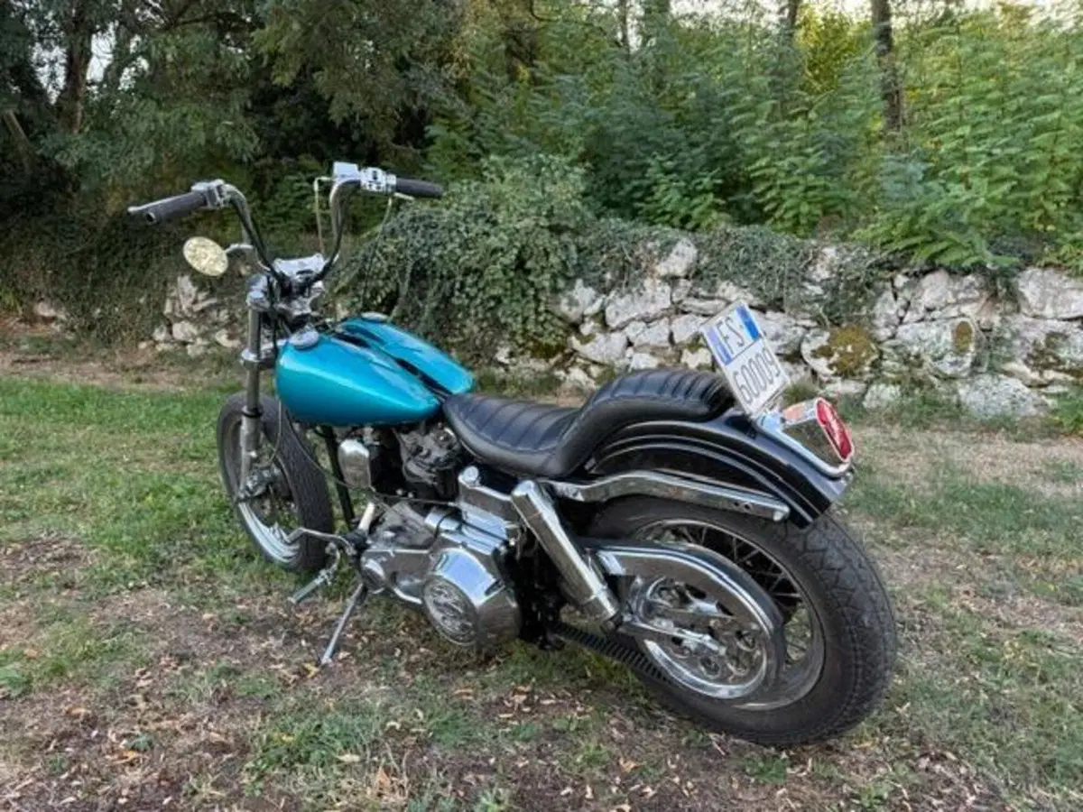 Harley-Davidson FXE 1200 Shovelhead (12)