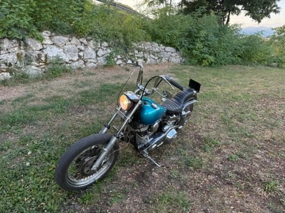 Harley-Davidson FXE 1200 Shovelhead (15)