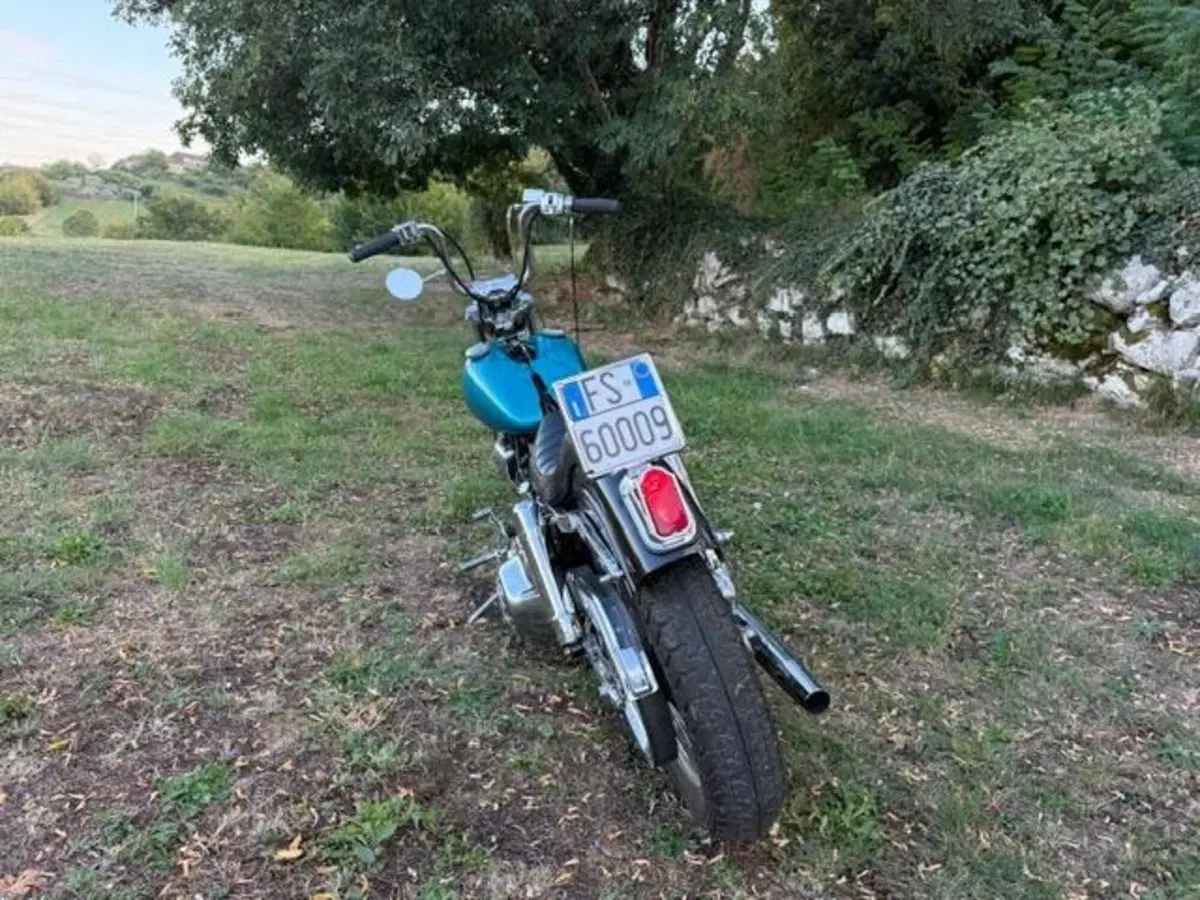 Harley-Davidson FXE 1200 Shovelhead (18)