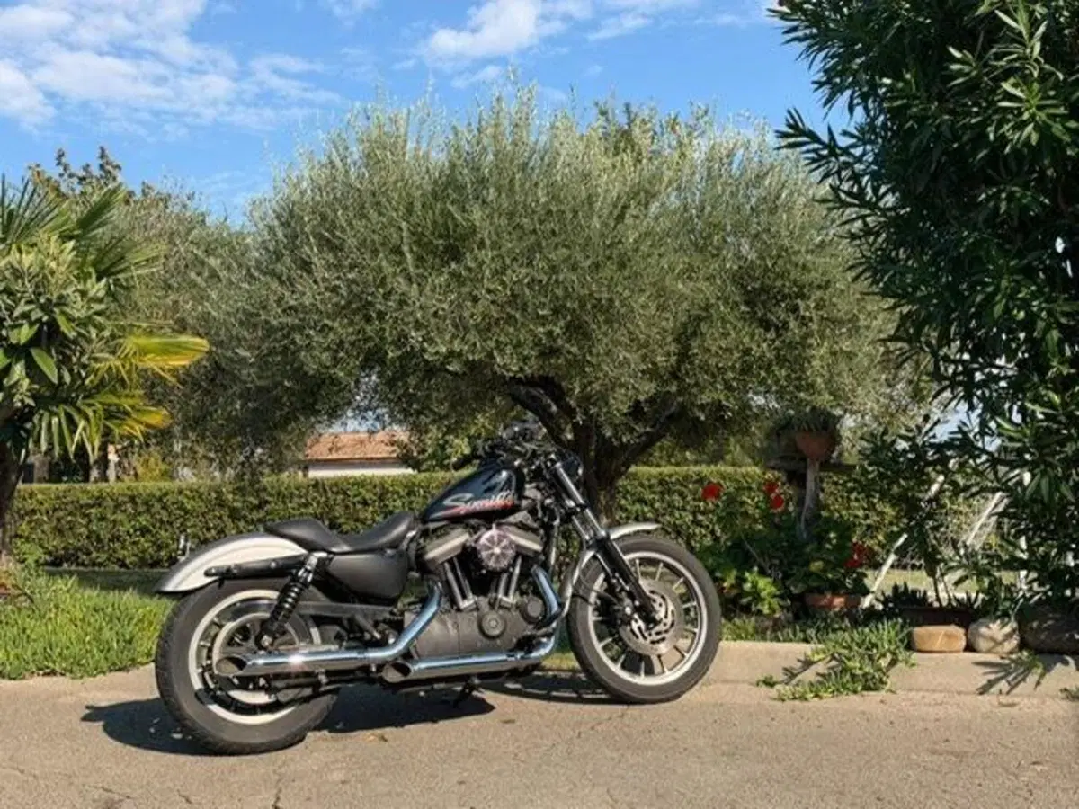 Harley-Davidson 883 R (2006 - 07) - XL 883R