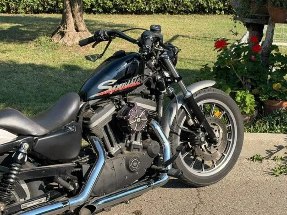 Harley-Davidson 883 R (2006 - 07) - XL 883R (4)