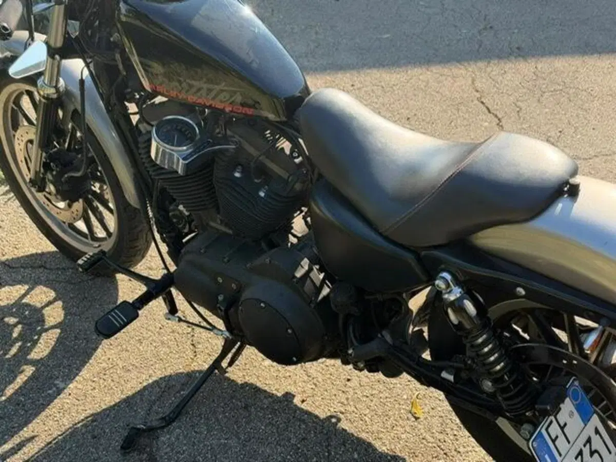 Harley-Davidson 883 R (2006 - 07) - XL 883R (5)