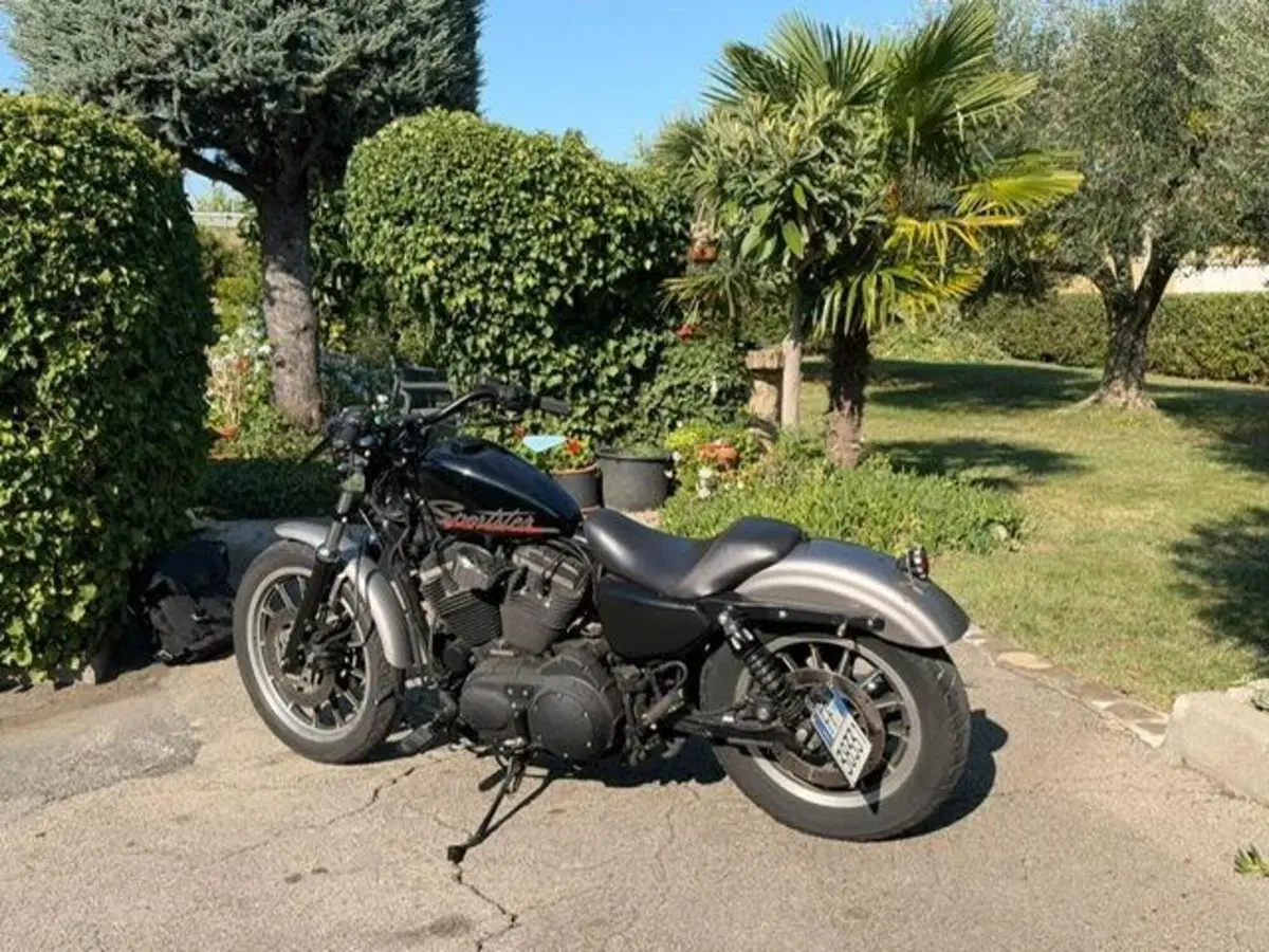 Harley-Davidson 883 R (2006 - 07) - XL 883R (6)