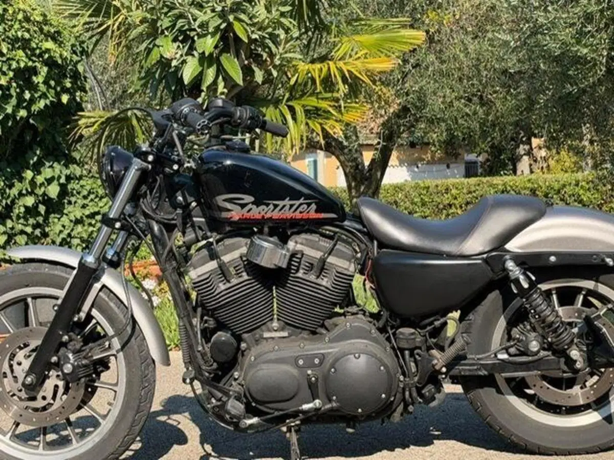Harley-Davidson 883 R (2006 - 07) - XL 883R (8)