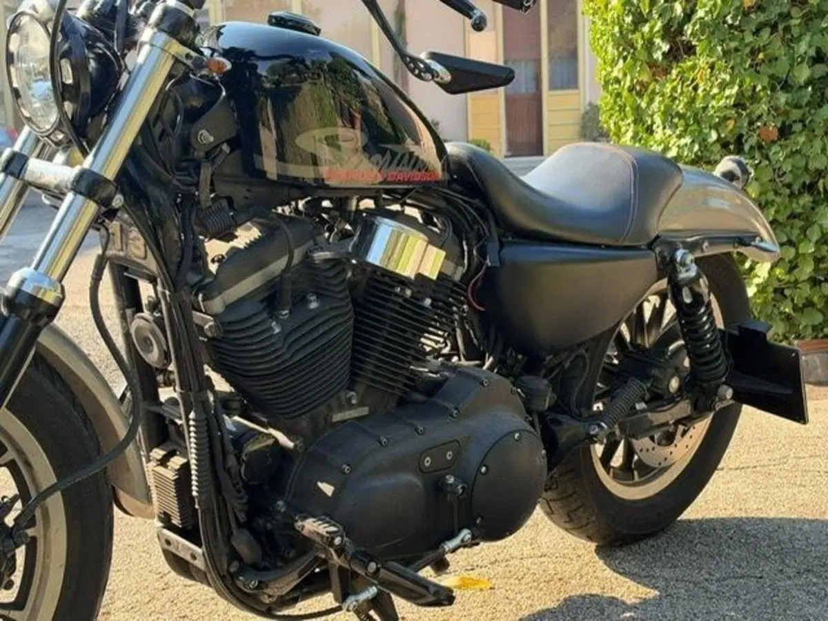 Harley-Davidson 883 R (2006 - 07) - XL 883R (13)