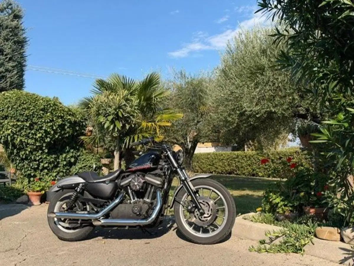 Harley-Davidson 883 R (2006 - 07) - XL 883R (14)