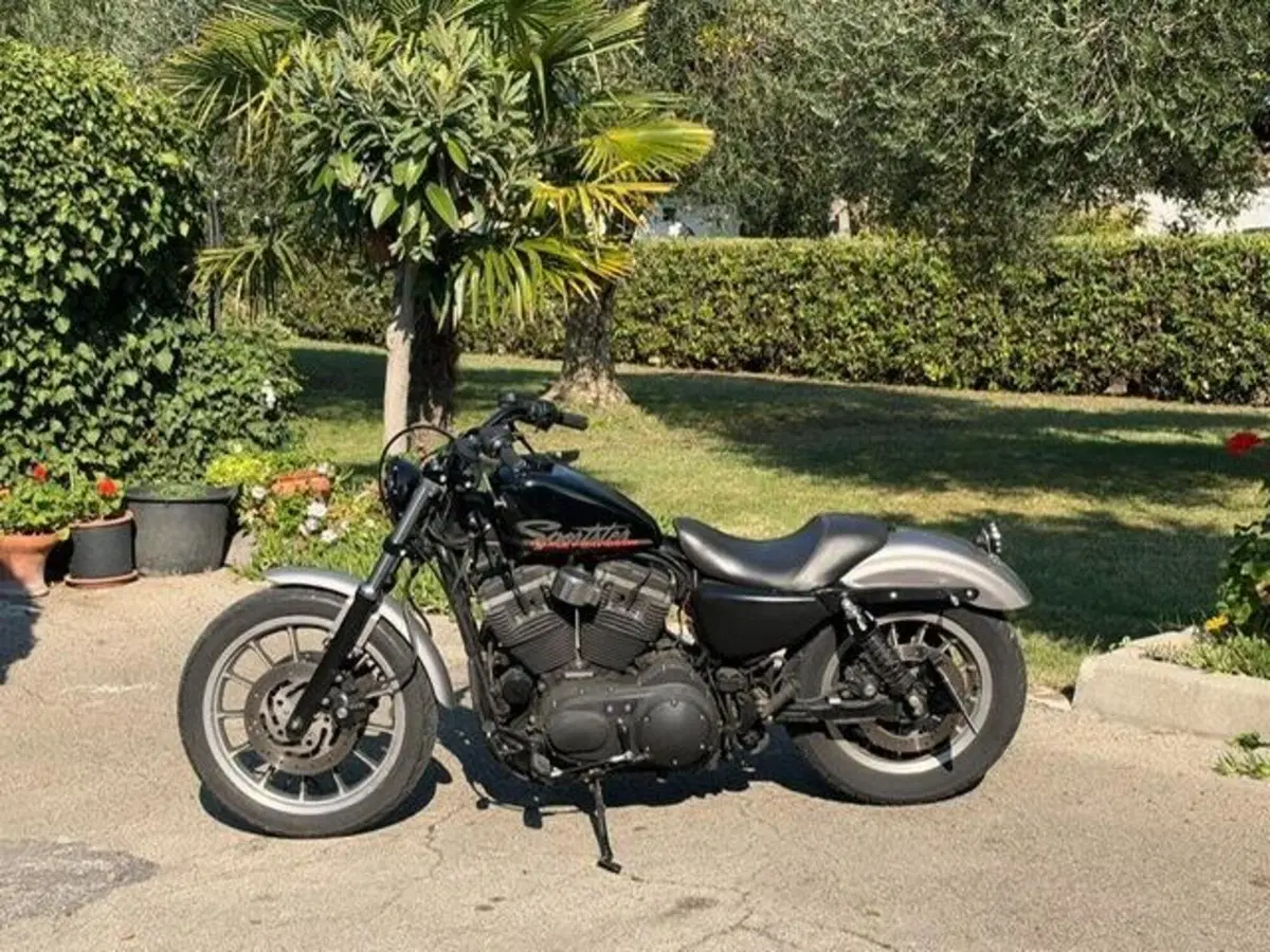 Harley-Davidson 883 R (2006 - 07) - XL 883R (15)