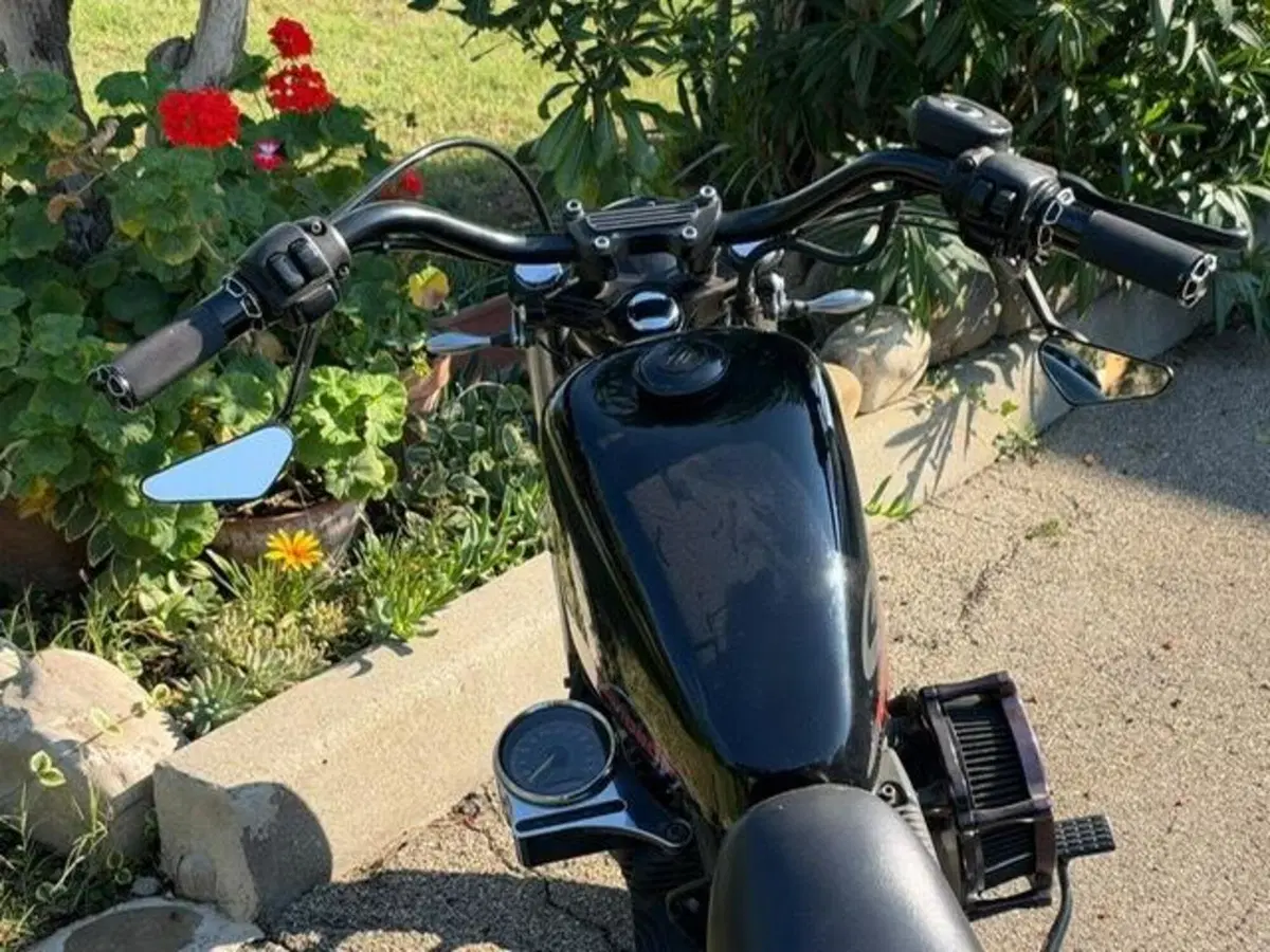 Harley-Davidson 883 R (2006 - 07) - XL 883R (16)