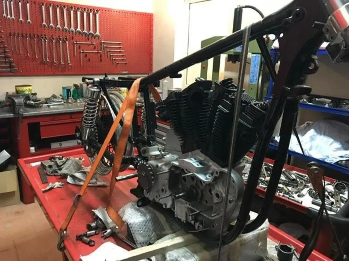 Harley-Davidson Ironhead 1000 (8)