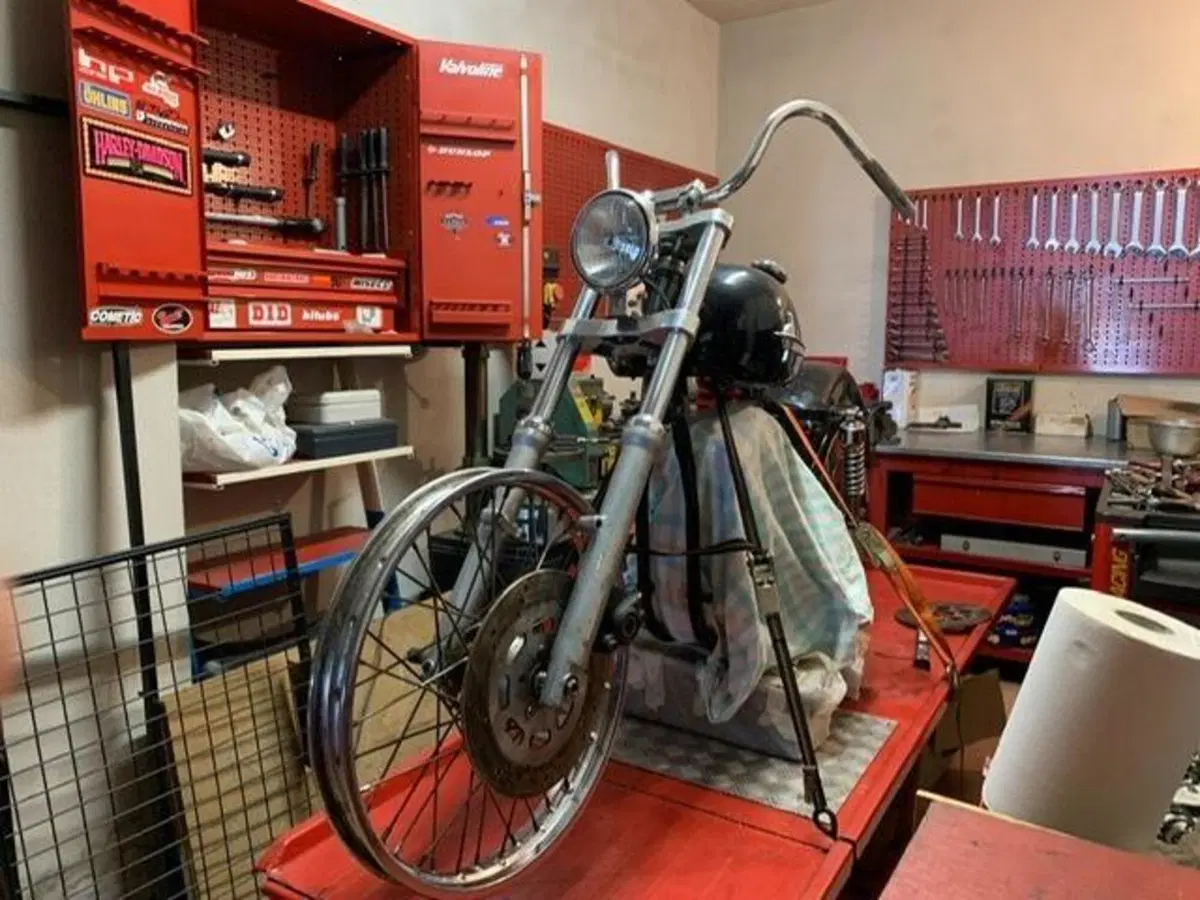 Harley-Davidson Ironhead 1000 (9)