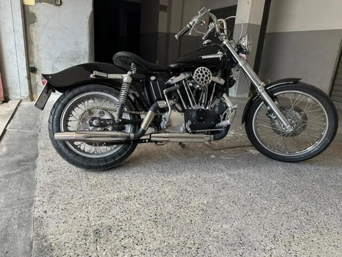 Harley-Davidson Ironhead 1000 (10)