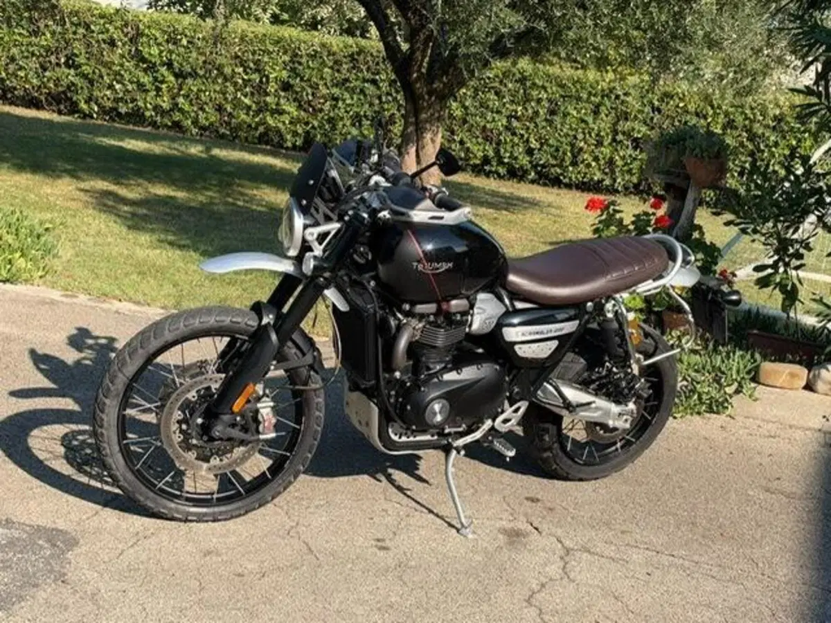 Triumph Scrambler 1200 XE (2021 - 23) (13)