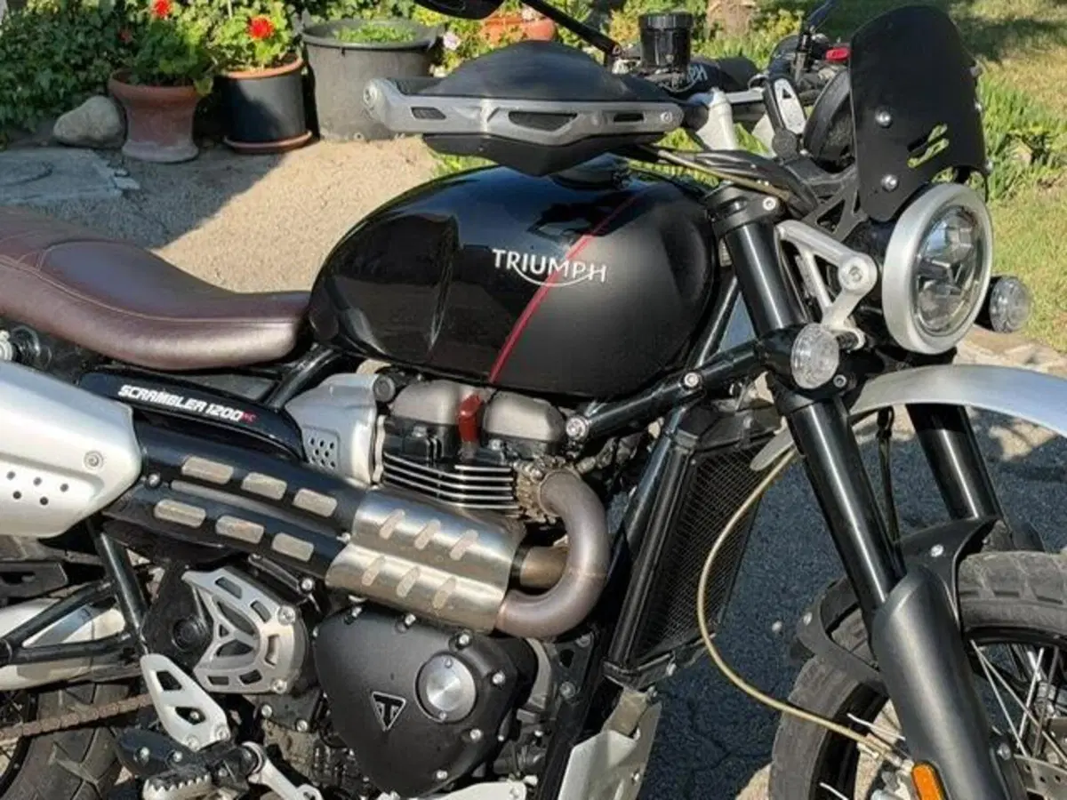 Triumph Scrambler 1200 XE (2021 - 23) (17)