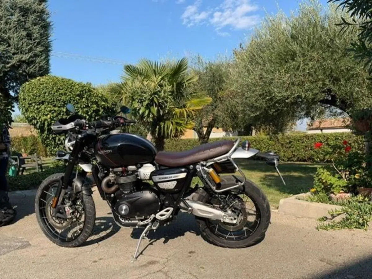 Triumph Scrambler 1200 XE (2021 - 23) (19)