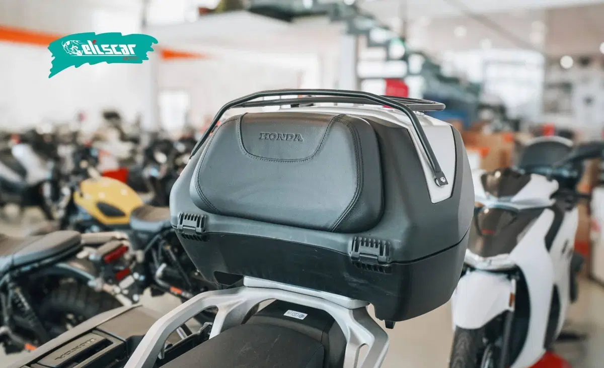 Honda Transalp XL750 Easy Travel (2023 - 24) (8)