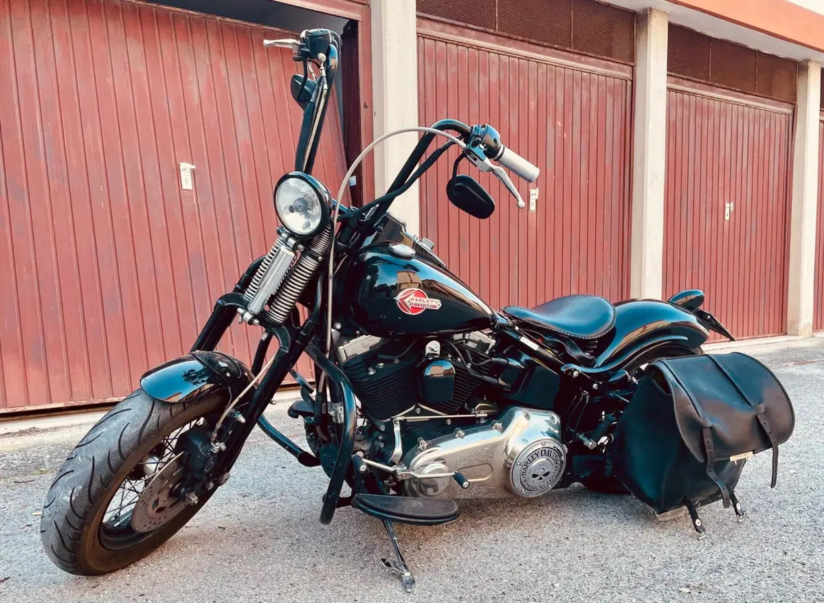 Harley-Davidson 1584 Cross Bones (2008 - 11) - FLSTSB (2)