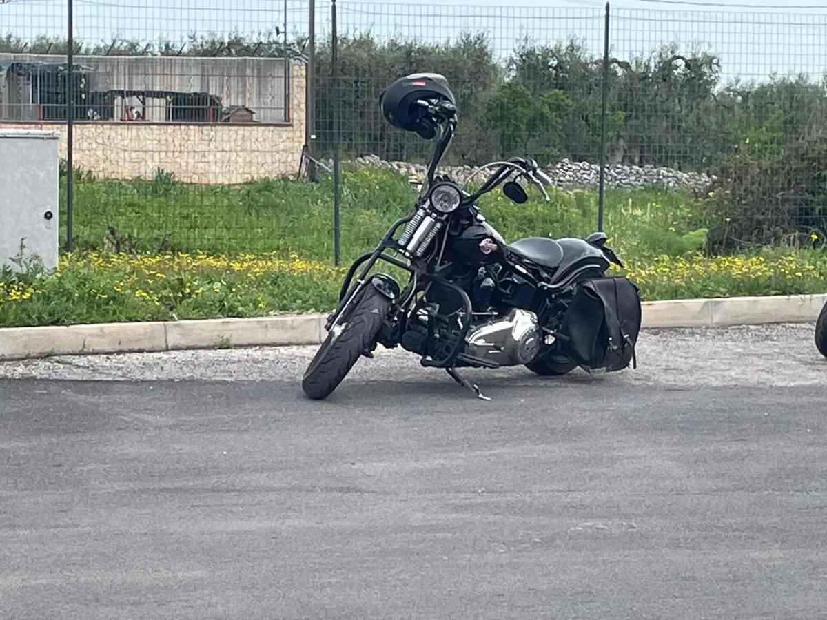 Harley-Davidson 1584 Cross Bones (2008 - 11) - FLSTSB (6)