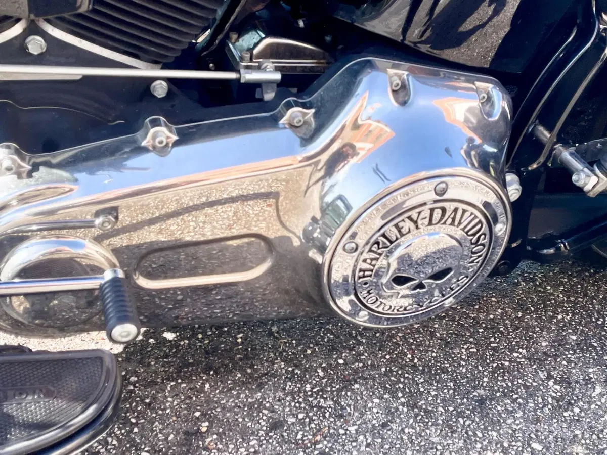 Harley-Davidson 1584 Cross Bones (2008 - 11) - FLSTSB (17)