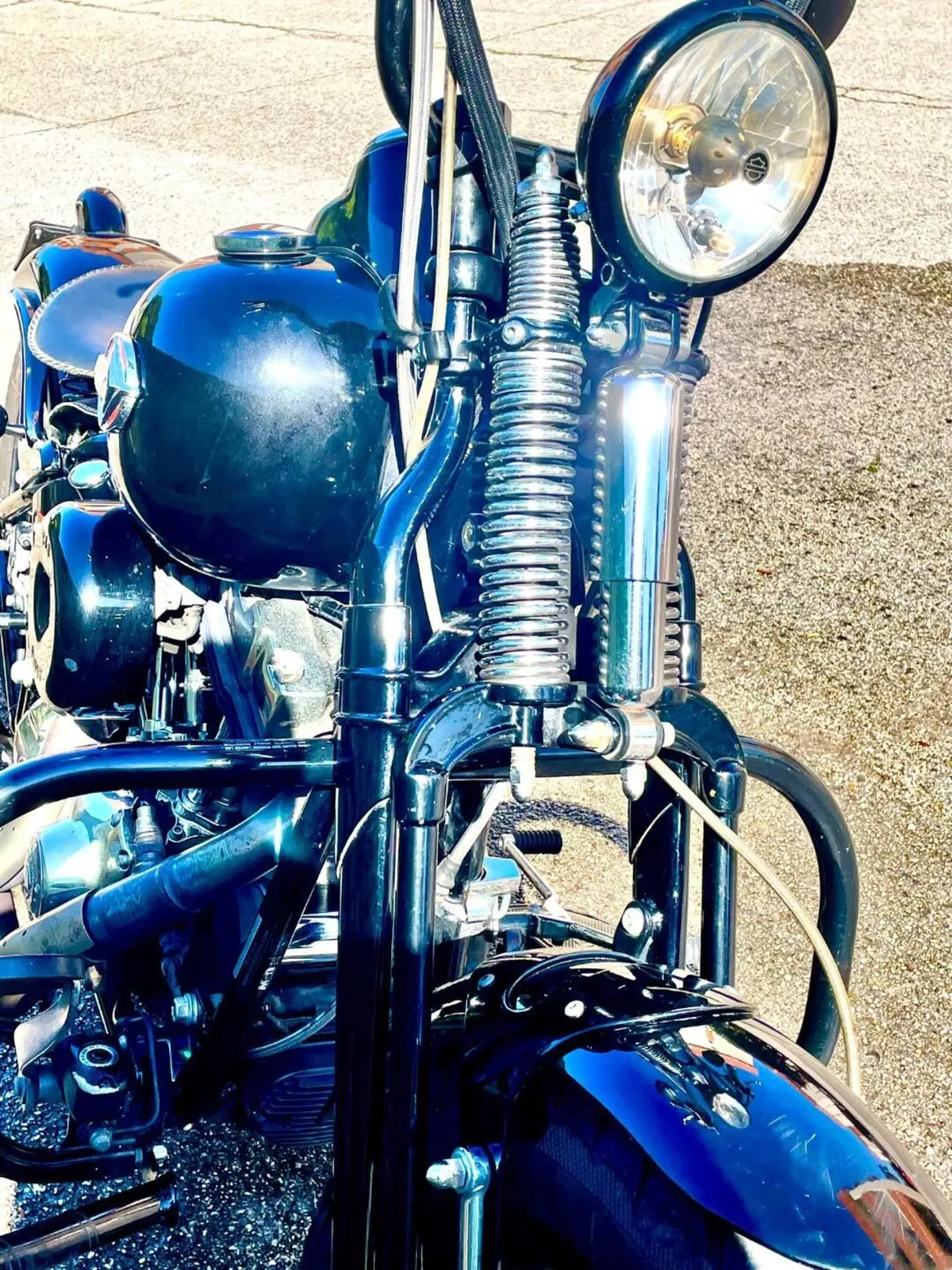 Harley-Davidson 1584 Cross Bones (2008 - 11) - FLSTSB (18)